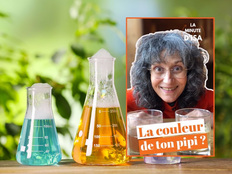 La couleur des urines : ce que cela dit sur ta santé